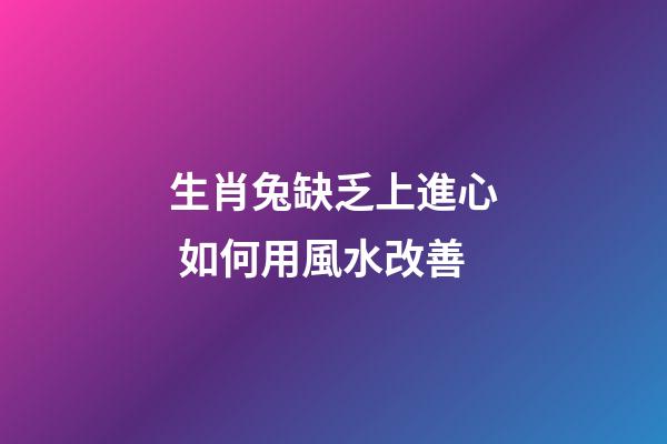 生肖兔缺乏上進心 如何用風水改善
